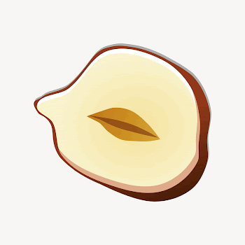 Half hazelnut clipart illustration psd. | Free PSD - rawpixel
