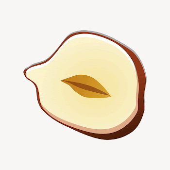 Half hazelnut collage element illustration | Free Vector - rawpixel