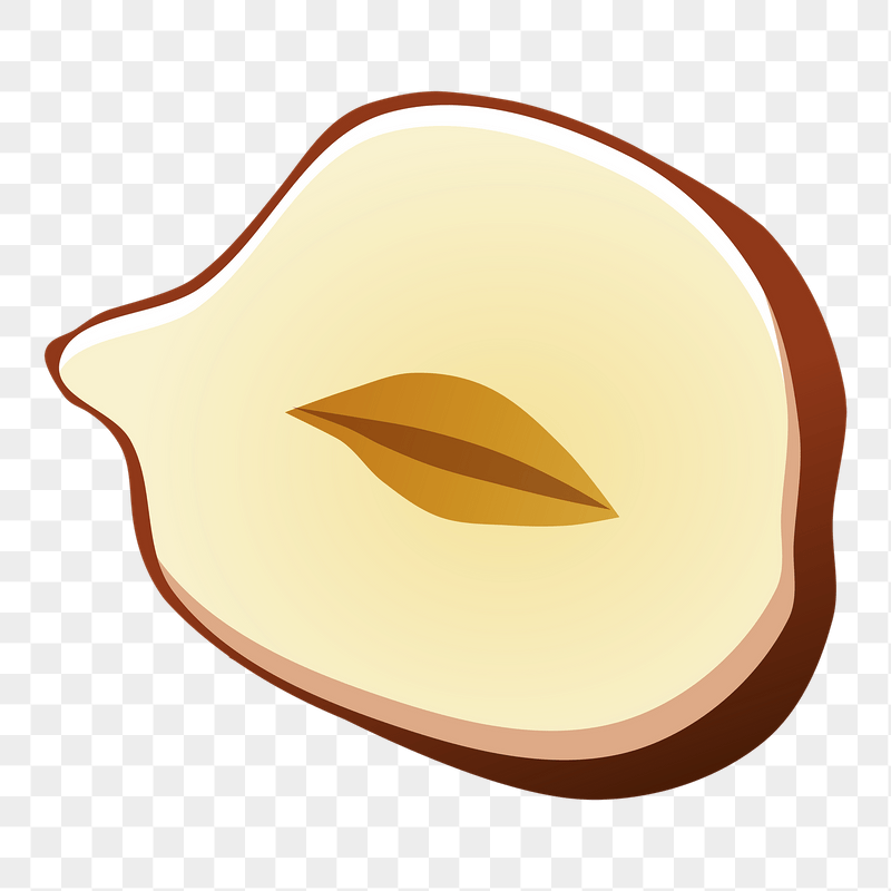 Half hazelnut png sticker illustration, | Free PNG - rawpixel