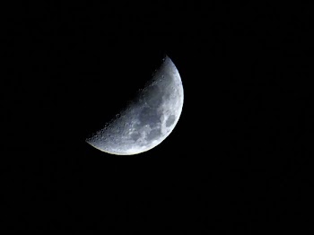 Half-moon