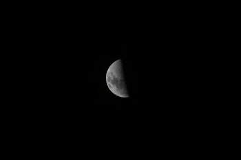 half-moon photo