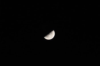 half moon photography