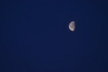 Half Moon Under Clear Blue Sky