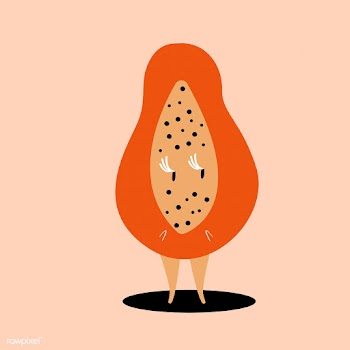 Half of fresh ripe papaya cartoon character v.. | Free stock vector - 538736