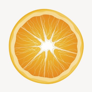 Half orange clip art color | Free Photo - rawpixel