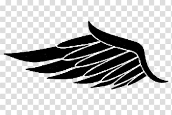 Half Wing Transparent Image
