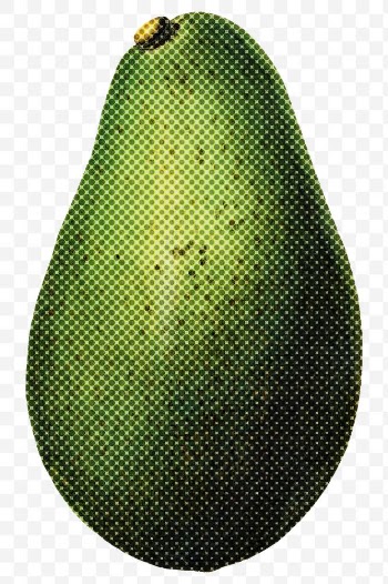 Halftone avocado sticker design element | Free  transparent png - 2351552