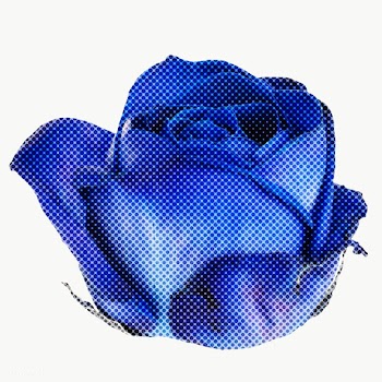 Halftone blue rose flower sticker overlay | Free  transparent png - 2342589
