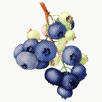 Halftone blueberry branch sticker overlay | Free  transparent png - 2340528
