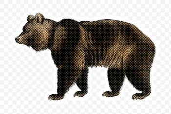 Halftone Brown Bear sticker with a white border | Free  transparent png - 2349964