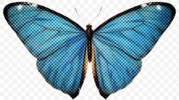 Halftone common blue butterfly sticker design element | Free  transparent png - 2351688