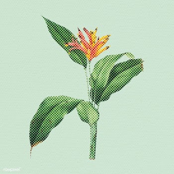 Halftone Heliconia flower sticker design element | Free  illustration - 2350576