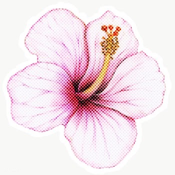 Halftone Hibiscus flower sticker overlay with white border | Free  transparent png - 2340442