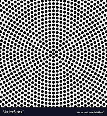 Halftone monochrome retro circular dot pattern vector image