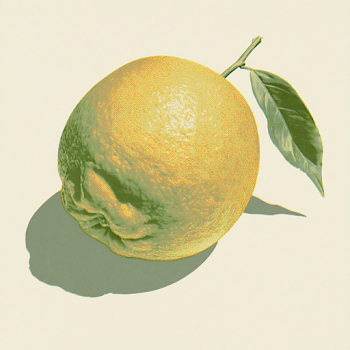 Halftone Print of an Orange