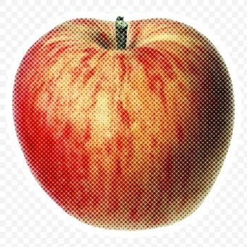 Halftone red apple sticker with a white border | Free  transparent png - 2351619