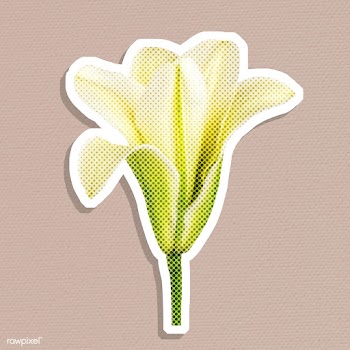 Halftone white lily flower sticker | Free  illustration - 2351676