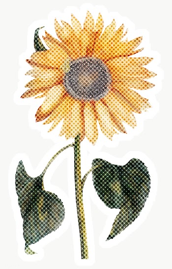 Halftone yellow sunflower sticker overlay with white border | Free  transparent png - 2340510