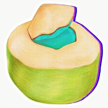 Halftone young coconut with neon outline sticker overlay with white bo.. | Free  transparent png - 2340687
