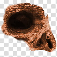 Halloween app Zombie Camera, eye_ transparent background PNG clipart