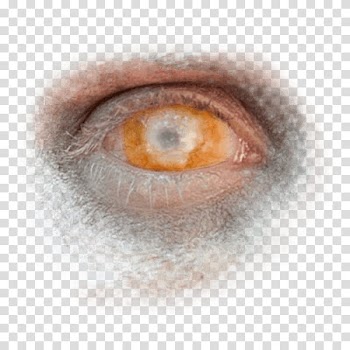 Halloween app Zombie Camera, eye_ transparent background PNG clipart