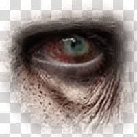Halloween app Zombie Camera, eye_ transparent background PNG clipart
