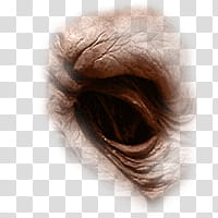 Halloween app Zombie Camera, eye_ transparent background PNG clipart