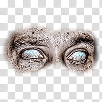 Halloween app Zombie Camera, eye_ transparent background PNG clipart