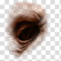 Halloween app Zombie Camera, eye_ transparent background PNG clipart