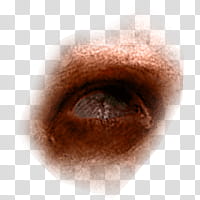 Halloween app Zombie Camera, eye_ transparent background PNG clipart