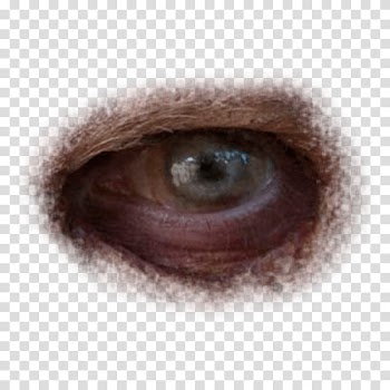 Halloween app Zombie Camera, eye_ transparent background PNG clipart
