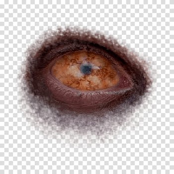 Halloween app Zombie Camera, eye_ transparent background PNG clipart