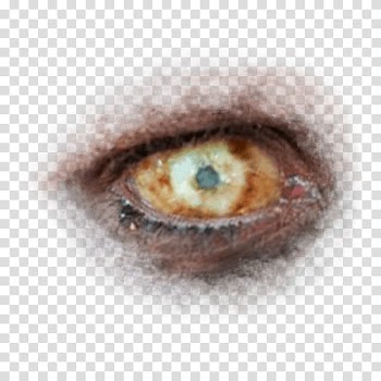 Halloween app Zombie Camera, eye_ transparent background PNG clipart