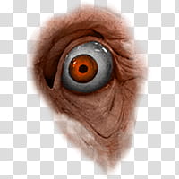 Halloween app Zombie Camera, eye_ transparent background PNG clipart