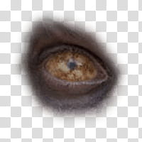 Halloween app Zombie Camera, eye_ transparent background PNG clipart