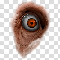 Halloween app Zombie Camera, eye_ transparent background PNG clipart