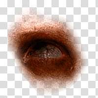 Halloween app Zombie Camera, eye_ transparent background PNG clipart