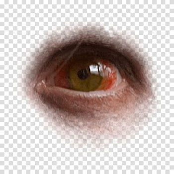 Halloween app Zombie Camera, eye_ transparent background PNG clipart