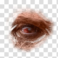 Halloween app Zombie Camera, eye_ transparent background PNG clipart