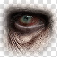 Halloween app Zombie Camera, eye_ transparent background PNG clipart
