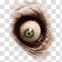 Halloween app Zombie Camera, eye_ transparent background PNG clipart