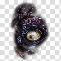 Halloween app Zombie Camera, eye_ transparent background PNG clipart