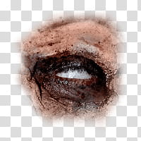 Halloween app Zombie Camera, eye_ transparent background PNG clipart