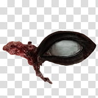 Halloween app Zombie Camera, eye_ transparent background PNG clipart