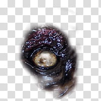 Halloween app Zombie Camera, eye_ transparent background PNG clipart
