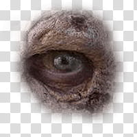 Halloween app Zombie Camera, eye_ transparent background PNG clipart