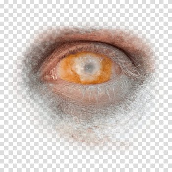 Halloween app Zombie Camera, eye_ transparent background PNG clipart