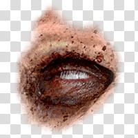 Halloween app Zombie Camera, eye_ transparent background PNG clipart