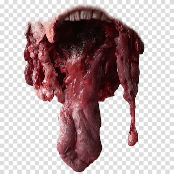 Halloween app Zombie Camera, mouth_ transparent background PNG clipart