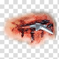 Halloween app Zombie Camera, piercing_ transparent background PNG clipart